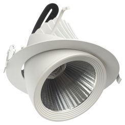LED kantelbare downlight "banaan" 30 watt - 2700K - CRI97 - rond 190 mm - gatmaat 175 mm - koppelbaar
